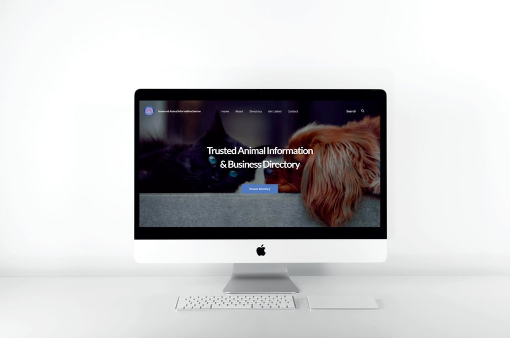 Portfolio image for Trusted Service Website
